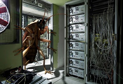 looks like a bug in the URL you entered !